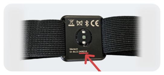 module-back.png